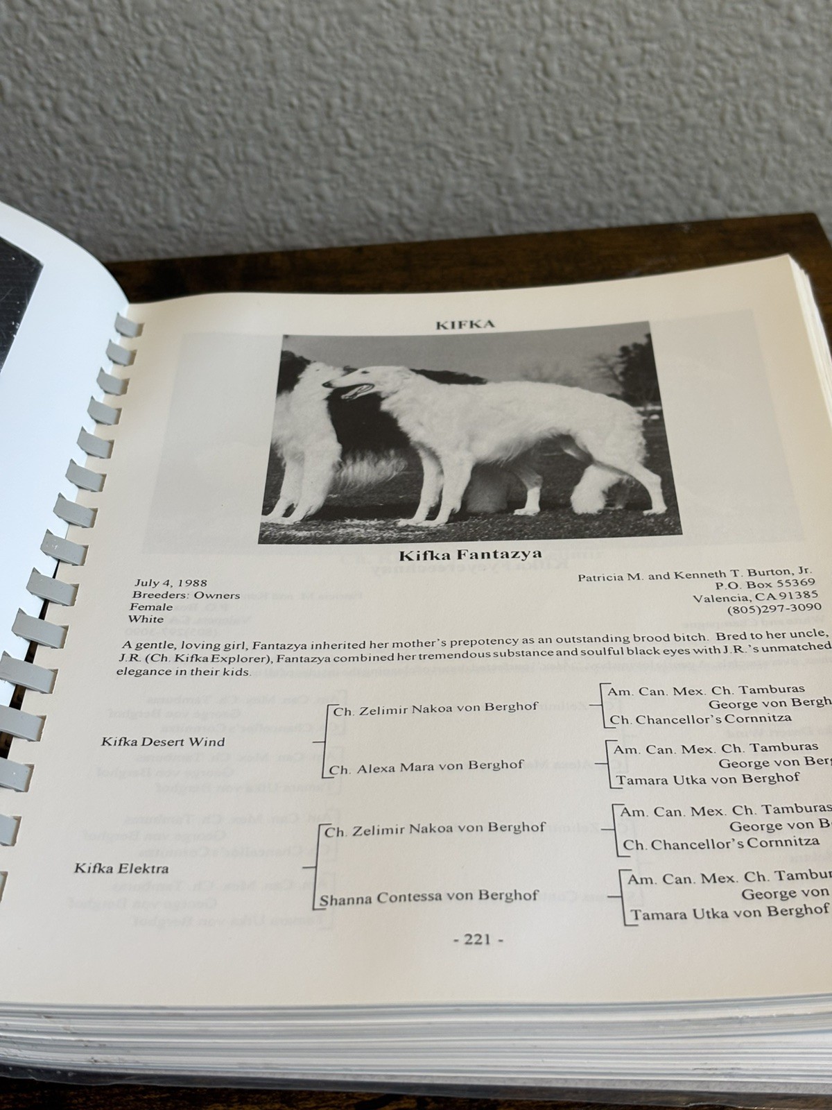 Borzoi Club Of America 1995 Yearbook BCOA Vintage Sprial Bound