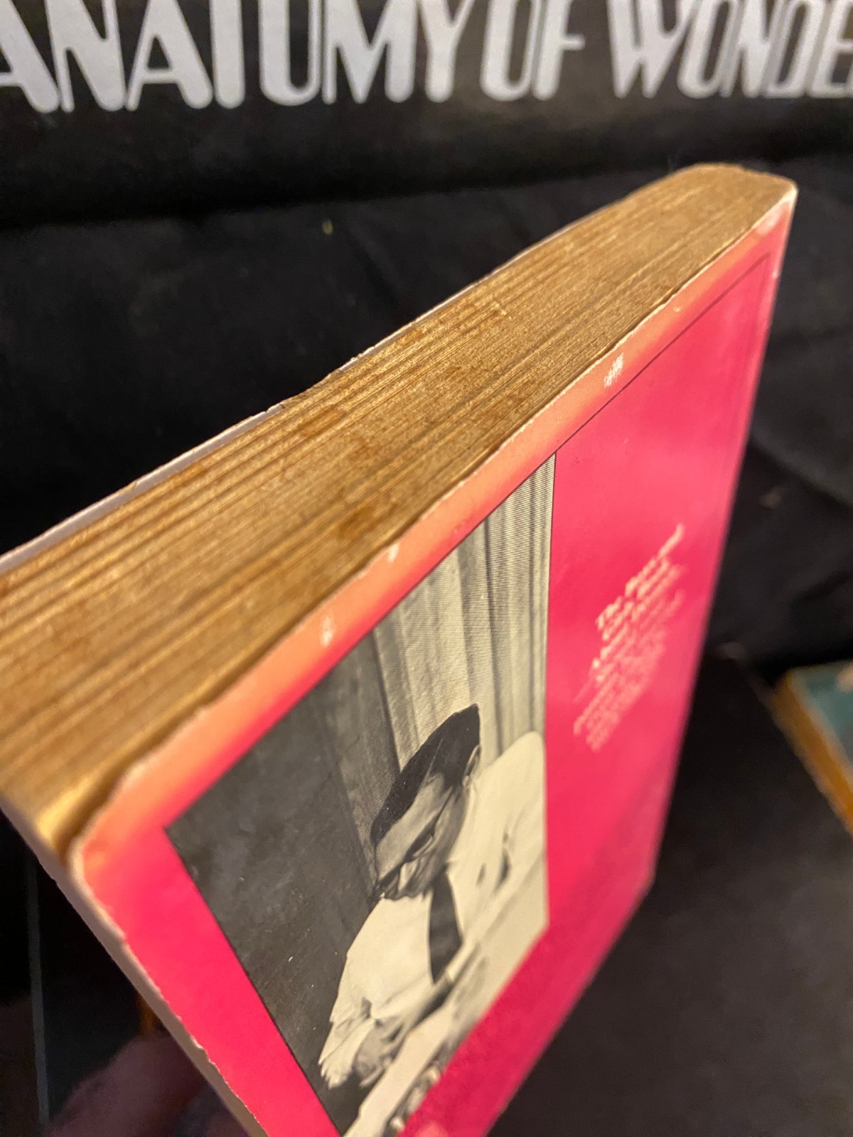 BOYS AND GIRLS BOOK ABOUT DIVORCE Richard A Gardner 1971 Bantam Illustrated