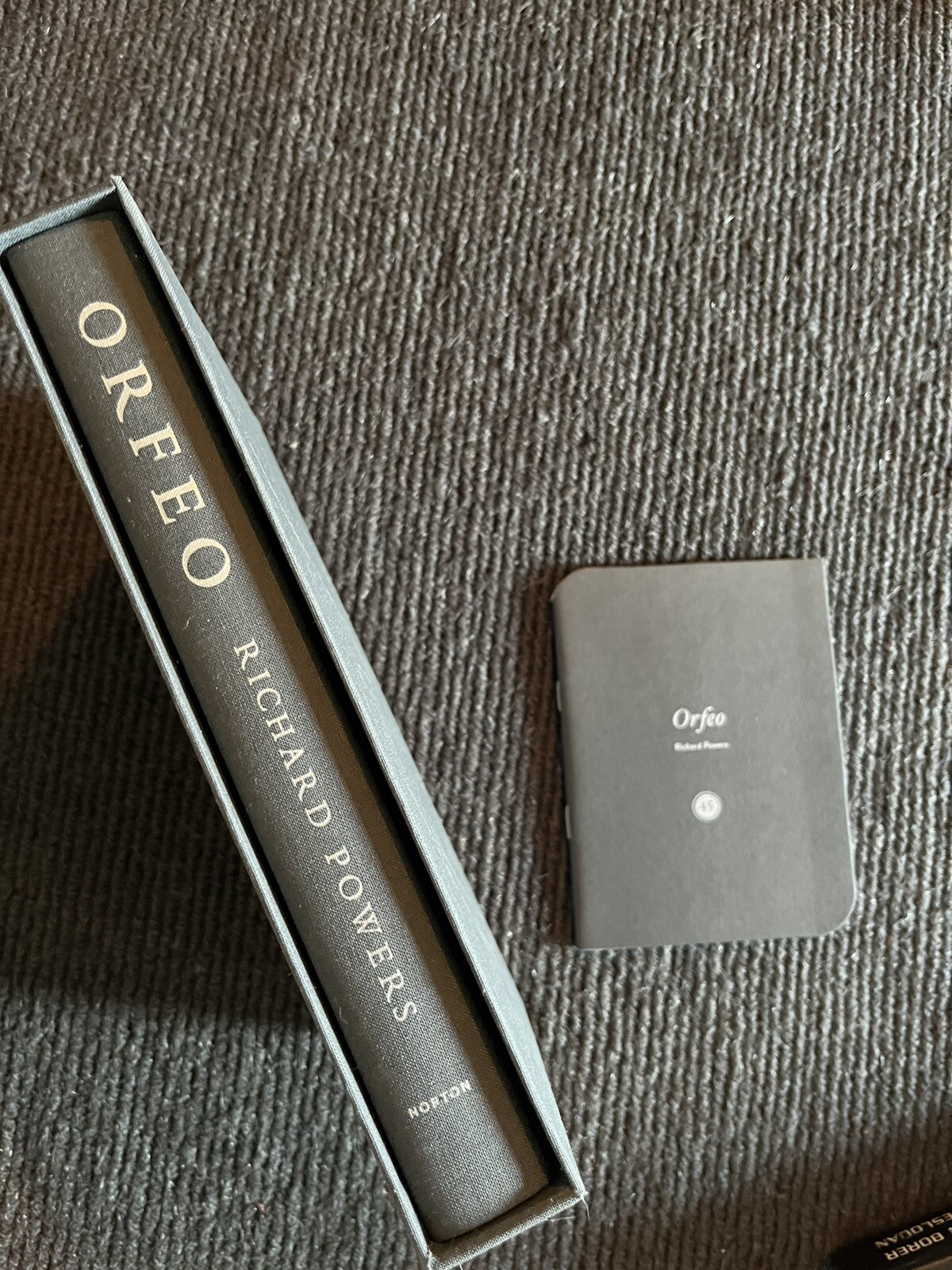 Orfeo – SIGNED by Richard Powers – 1st Limited Slipcase Ed. and Printing Fine HC