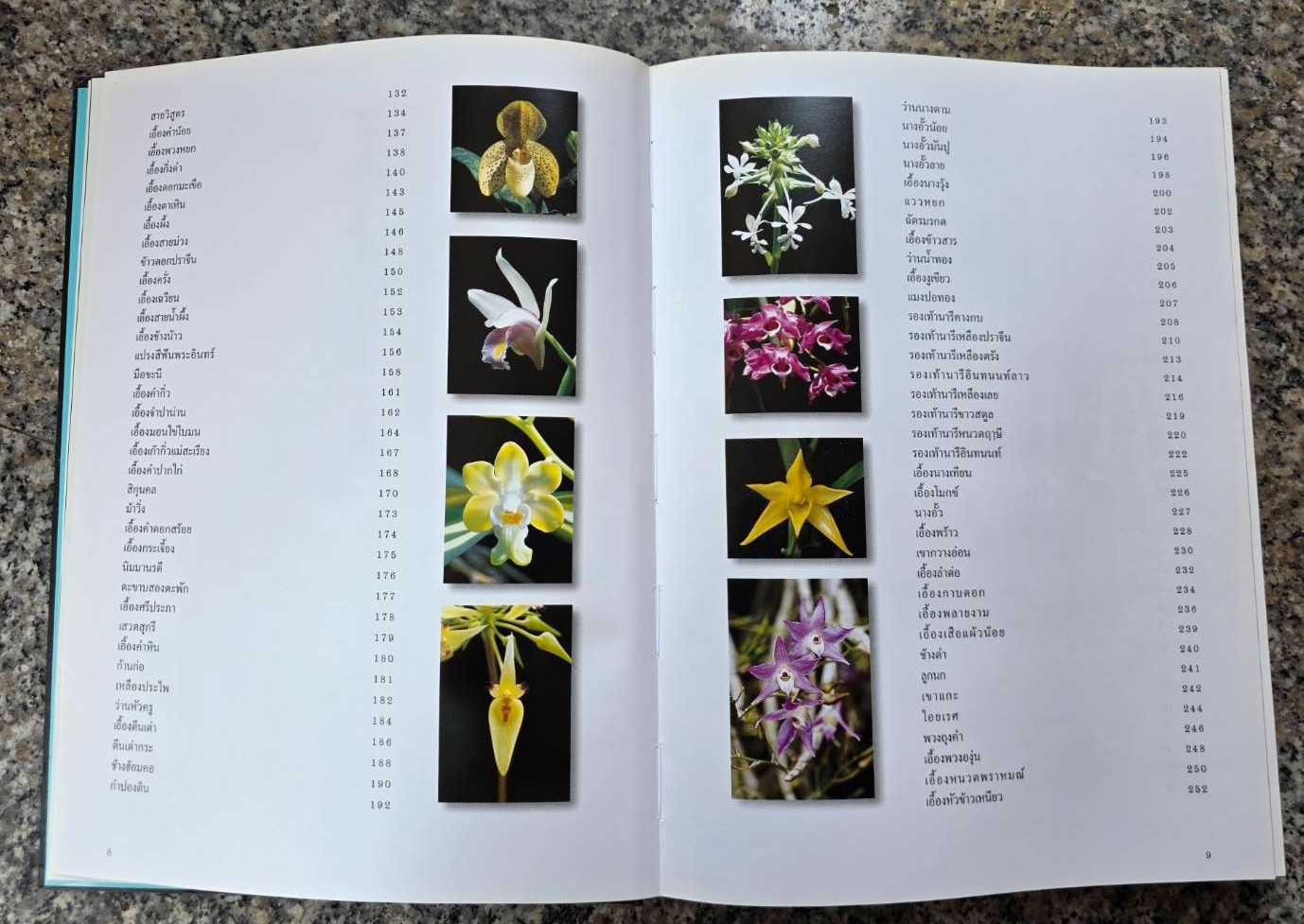Hardcover book featuring all ” Thai orchids. ” ( Hardcover)