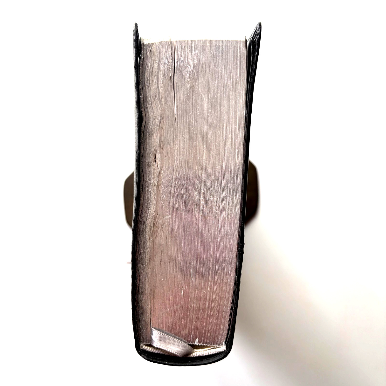 NLT Holy Bible Giant Print Personal Size Filament Enabled Tyndale Black Leather