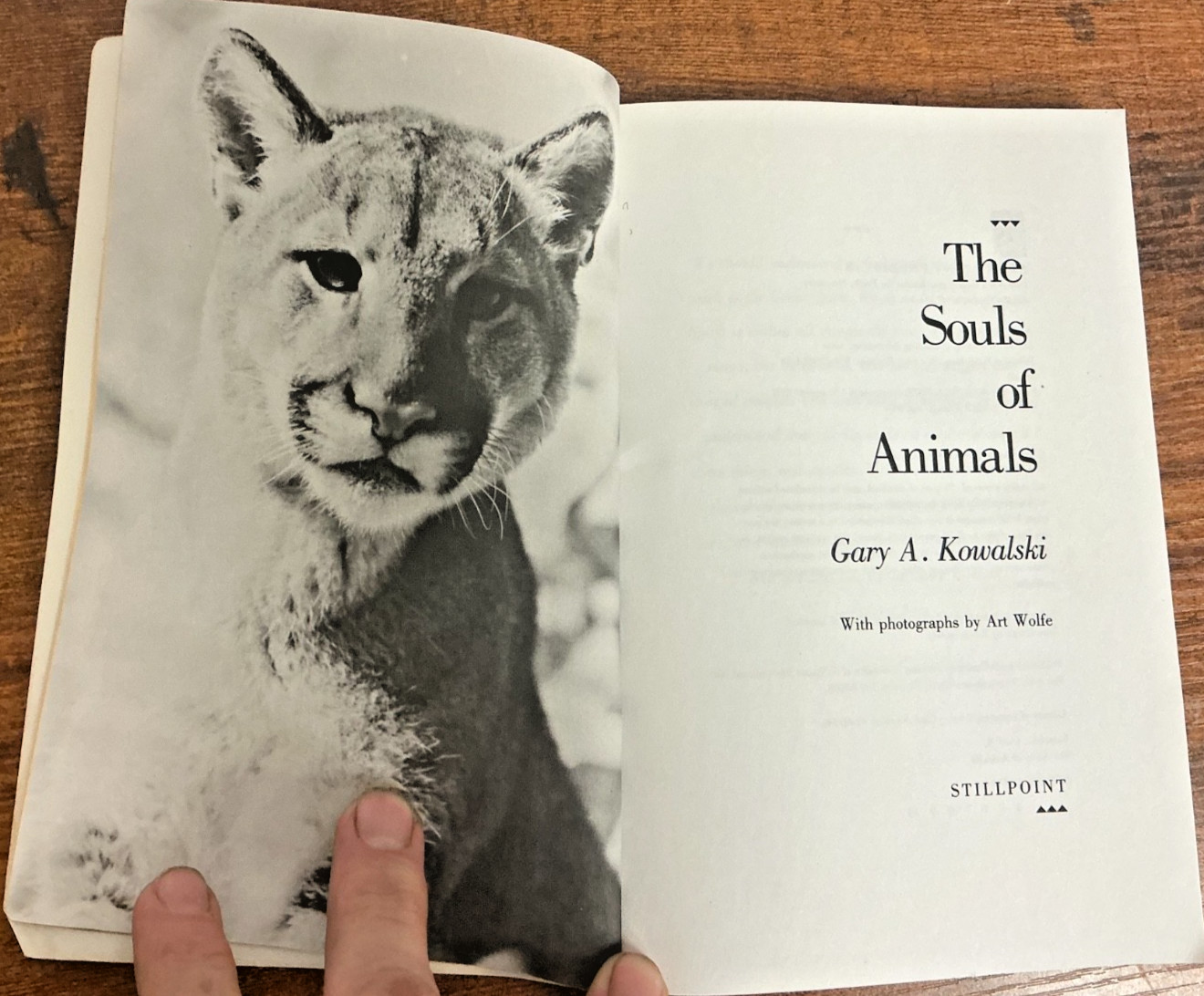 The Souls of Animals softcover by Gary Kowalski 111 pages