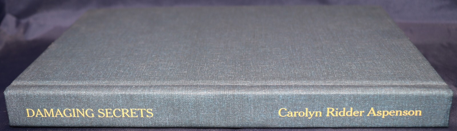 Damaging Secrets (Rachel Ryder) by Carolyn Ridder Aspenson 2021 9781648750427