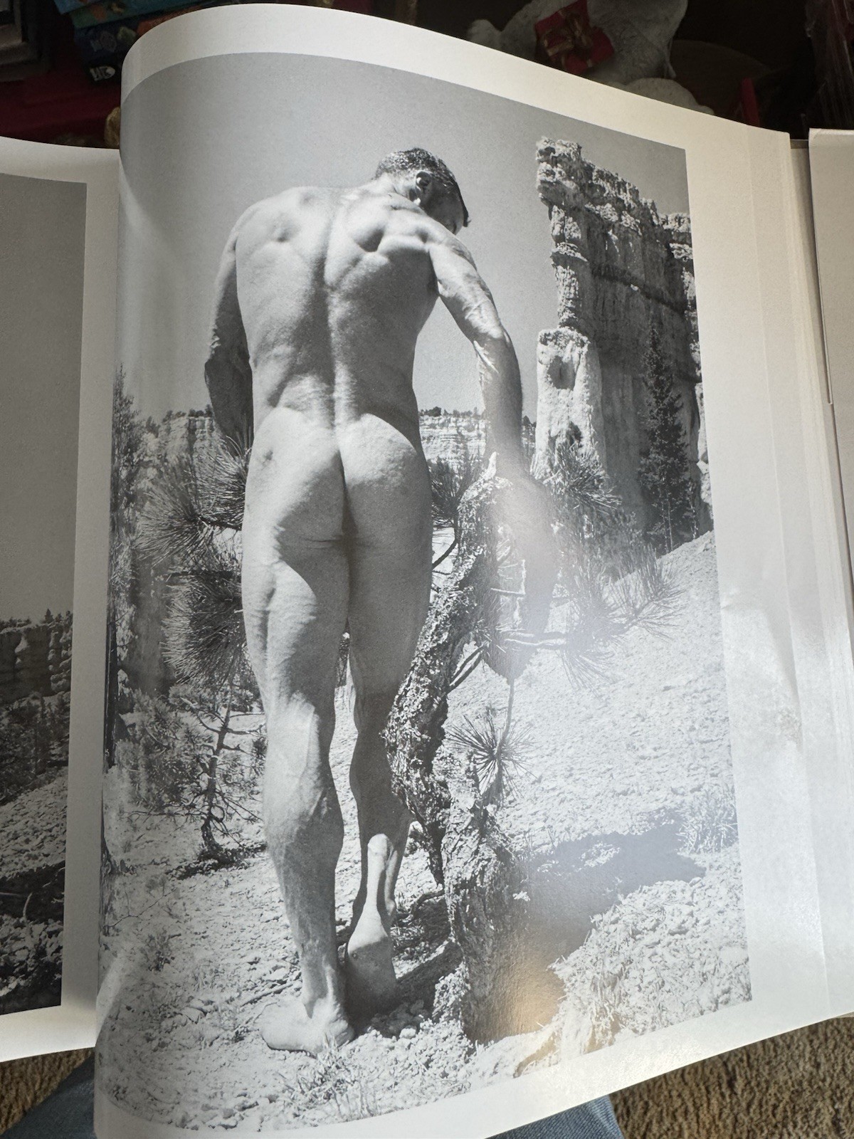 Man/Nature by Sherwin Carlquist (2002, Hardcover) Photo Book Gay Interest Nudity