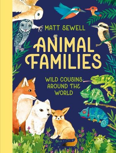 Matt Sewell Animal Families (Hardback) (UK IMPORT)