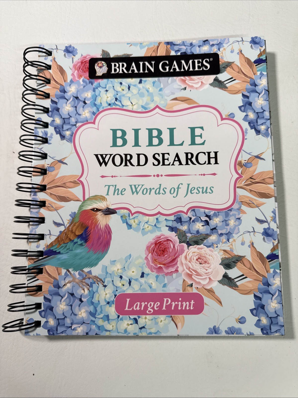Brain Games – Large Print Bible Word Search: The Words of Jesus