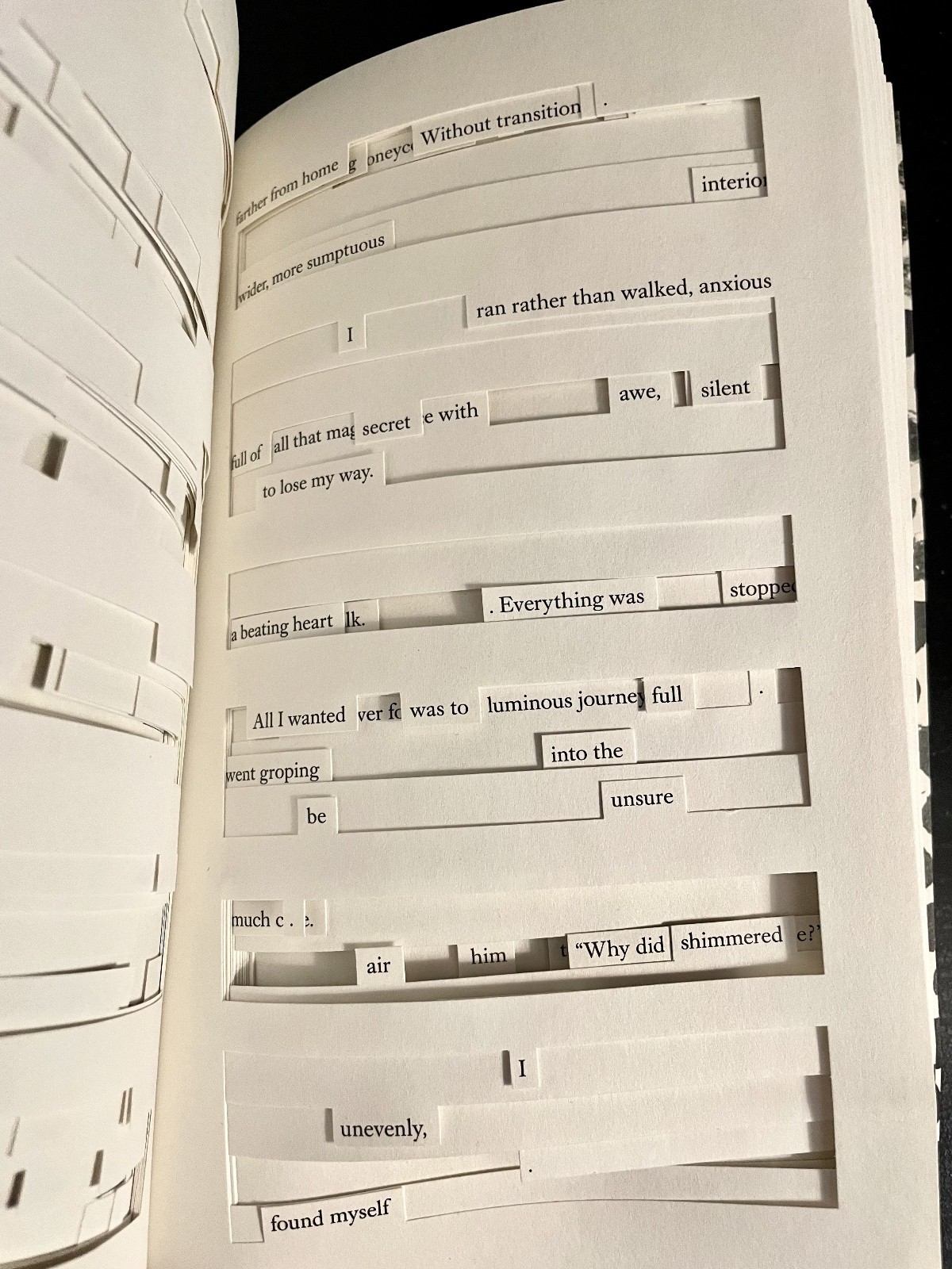 Tree of Codes by Jonathan Safran Foer (2010, Paperback)