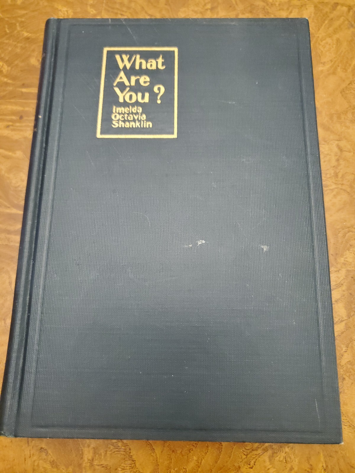 What Are You? by Imelda Octavia Shanklin – 1929