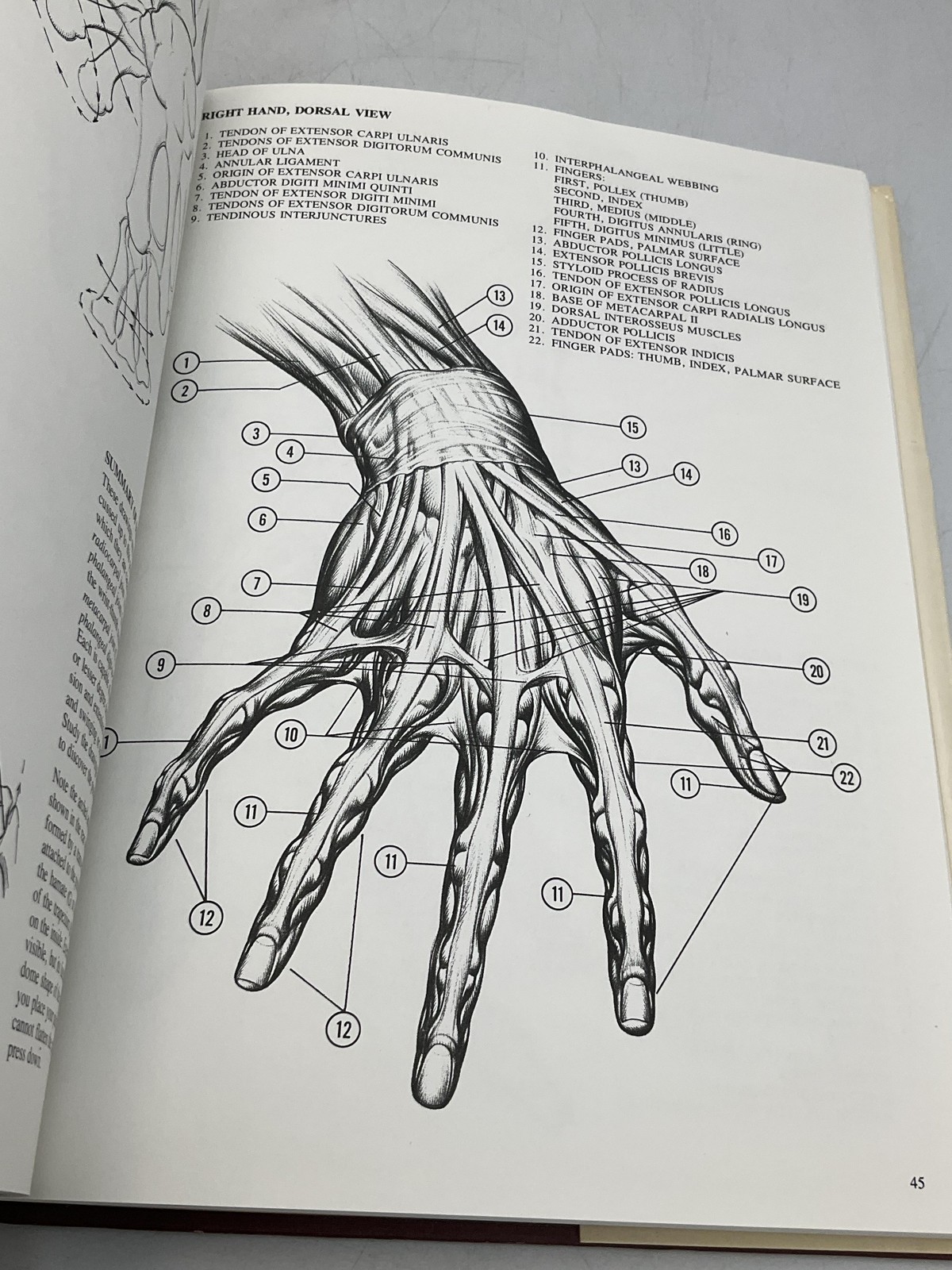 Vintage Drawing Dynamic Hands Burne Hogarth Hardcover Orange 1st 1977 DJ