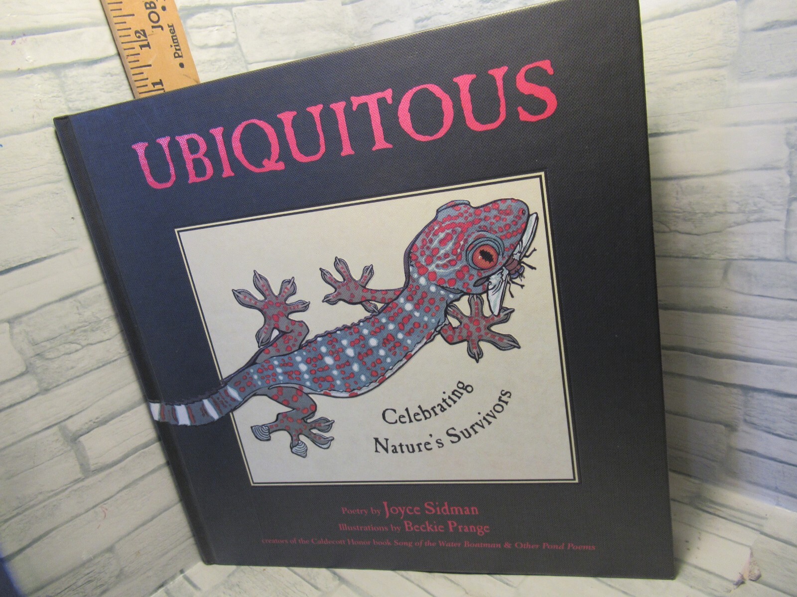 Ubiquitous/ Celebrating Nature’s Survivors / by Joyce Sidman /