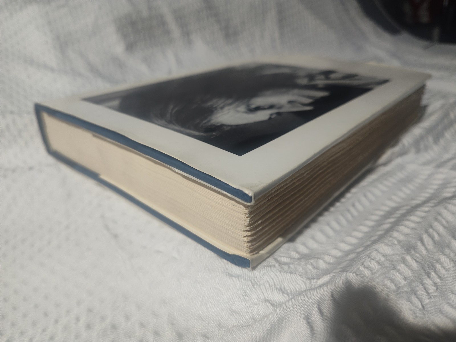 A Sport of Nature by Nadine Gordimer (1987)