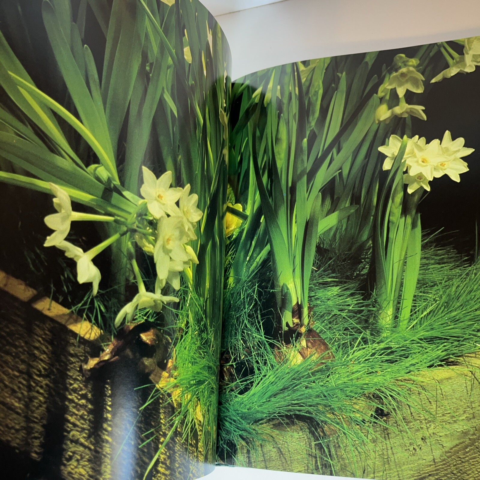 Madderlake Flowers Rediscovered 1985 First Edition Hardcover Dust Jacket NEW