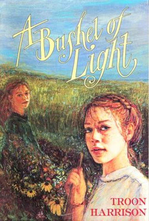 A Bushel of Light Paperback Troon Harrison