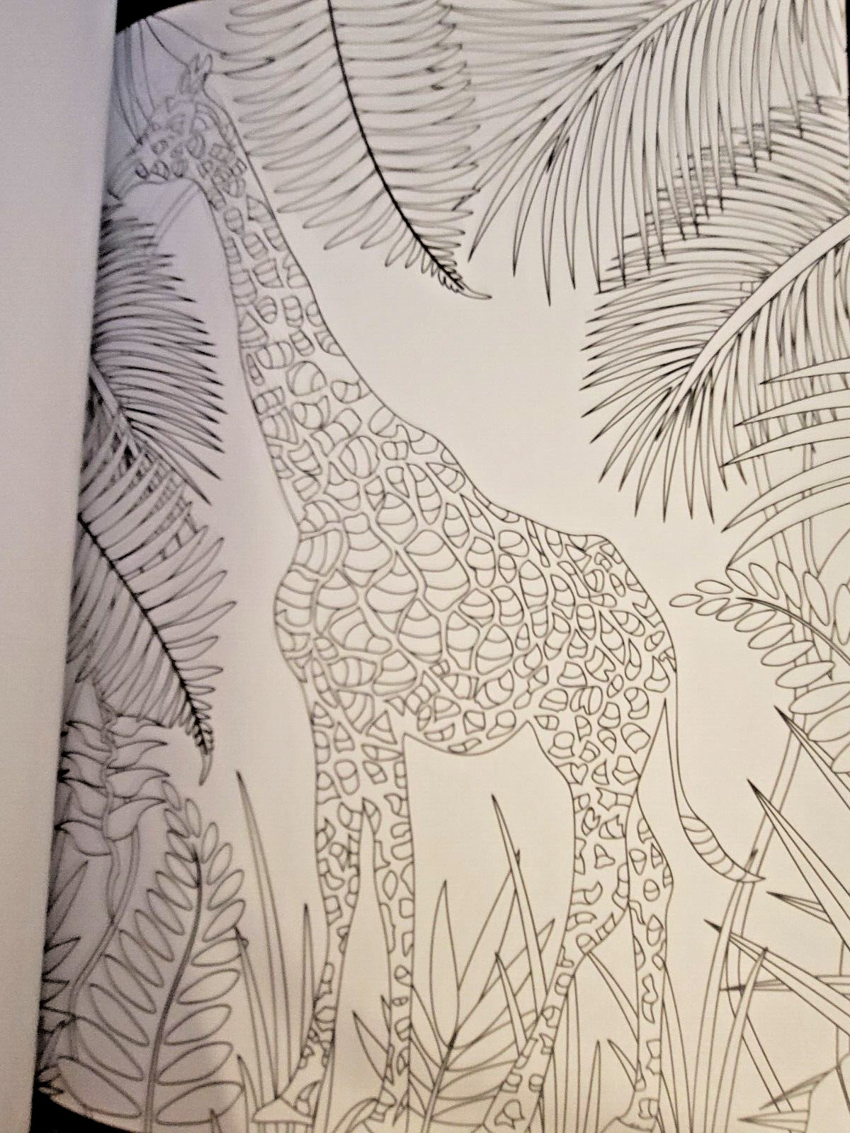 COLORS OF THE WILD Vol. 23 Adult Coloring Book With 47 Prints Ready To Frame!