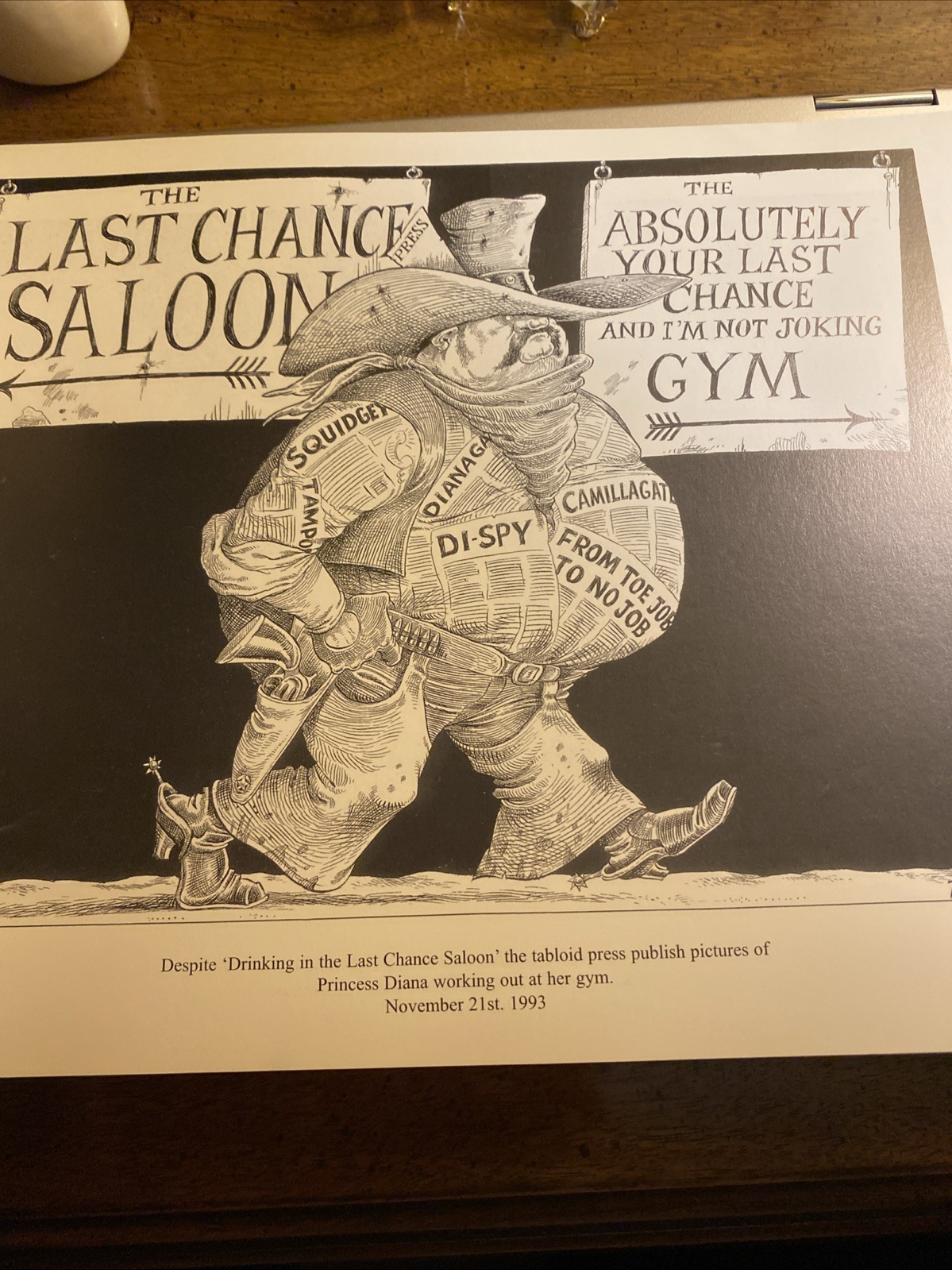 TRIBAL POLITICS By Cartoonist Chris Riddell 1st Edition Excellent, Funny