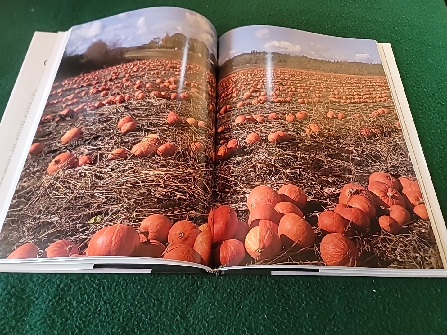 OREGON III Photography by Ray Atkeson & Richard Ross Like new.