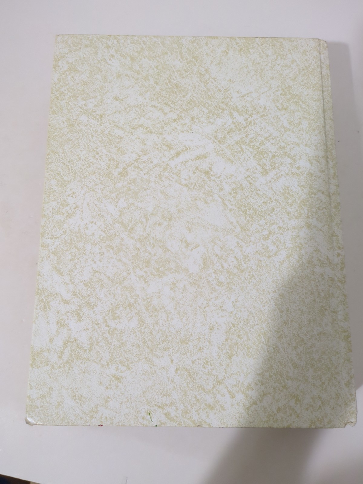 Vintage Holy Bible King James Version “Our Family Bible” 1971 White & Gold 11.5”