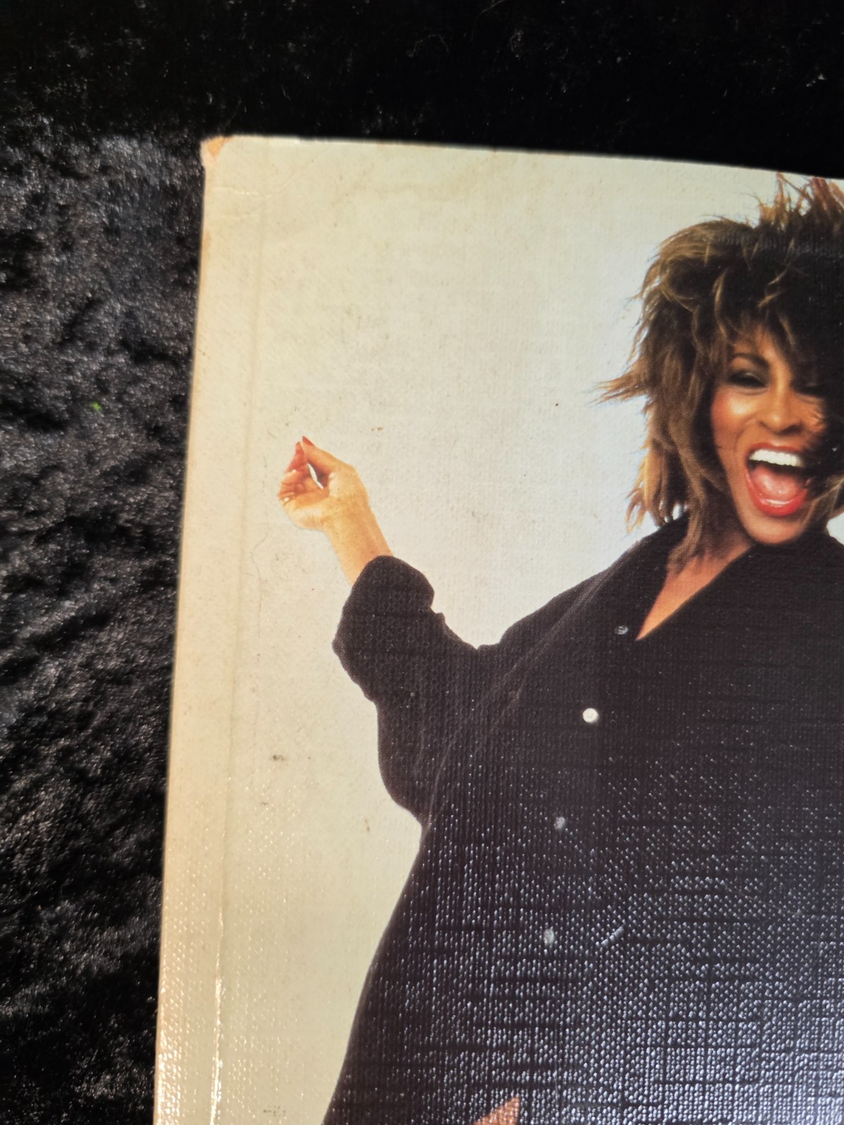 TAKE YOU HIGHER: THE TINA TURNER EXPERIENCE CHRIS WELCH SOFTCOVER