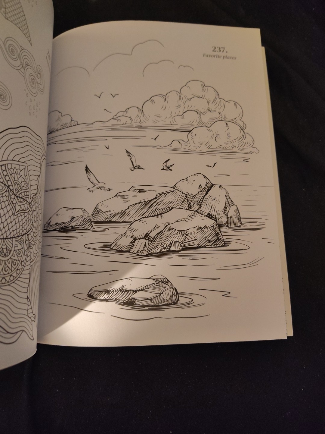Gratitude 365 Coloring Book Mindful Coloring Every Day Adult Kids All Ages