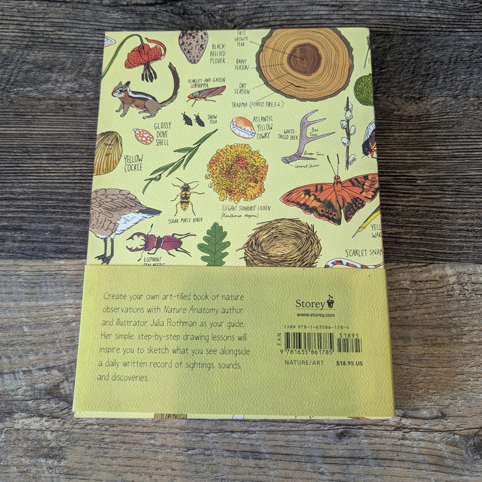 Nature Anatomy Notebook Julia Rothman Unused