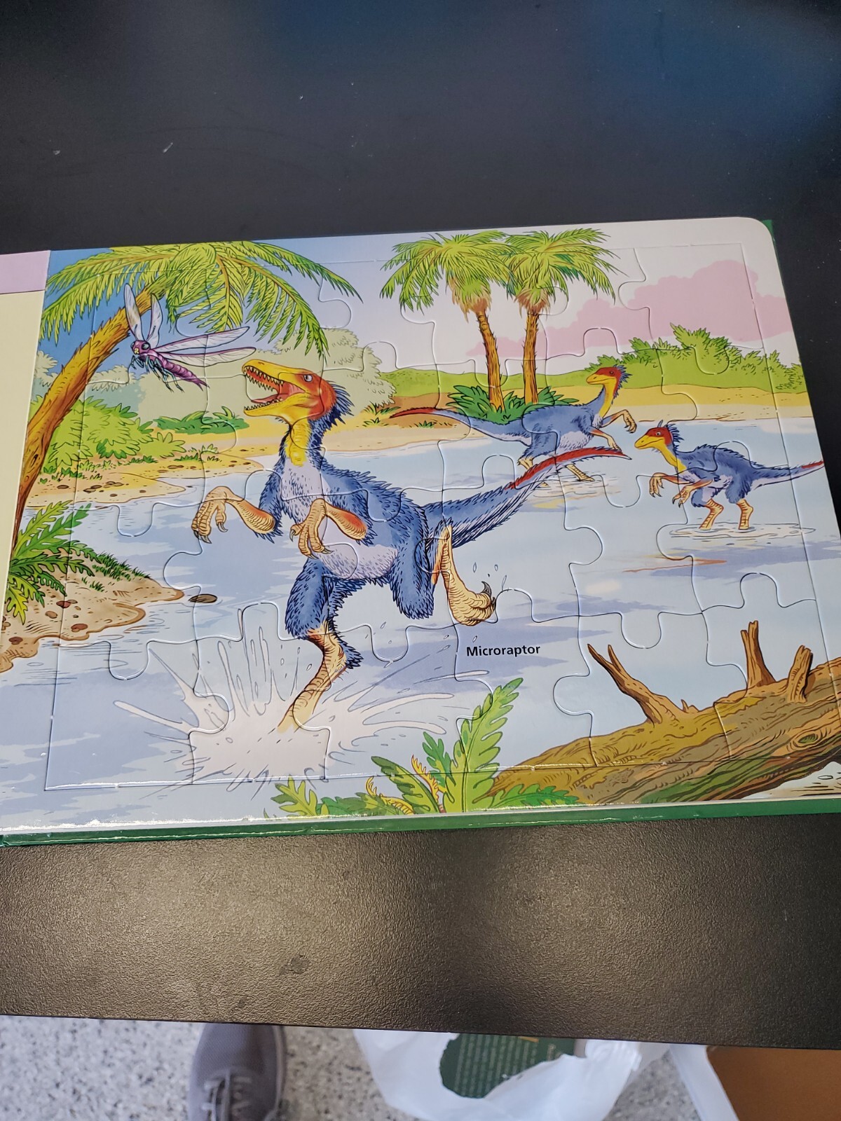 Discovering dinosaurs Book and 5 jigsaw puzzles