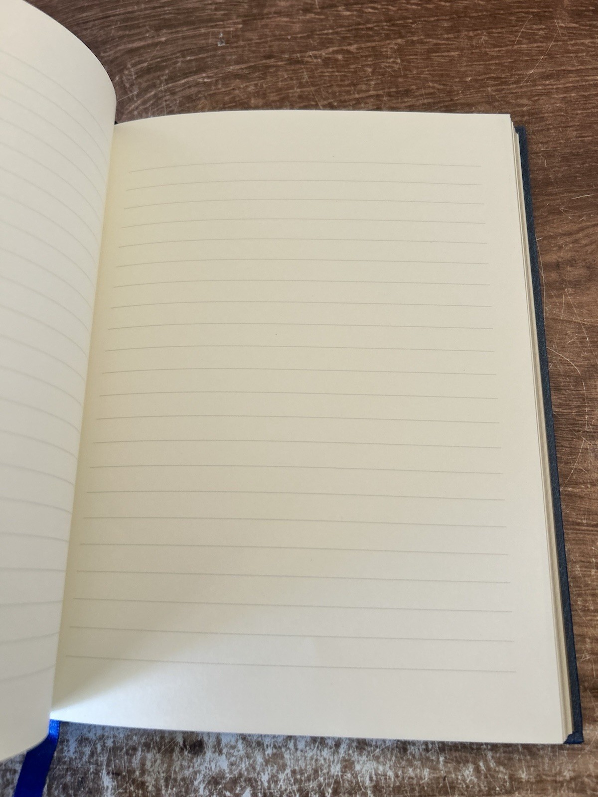 Celestial Large Address Book by Peter Pauper Press (2016, Address Book)