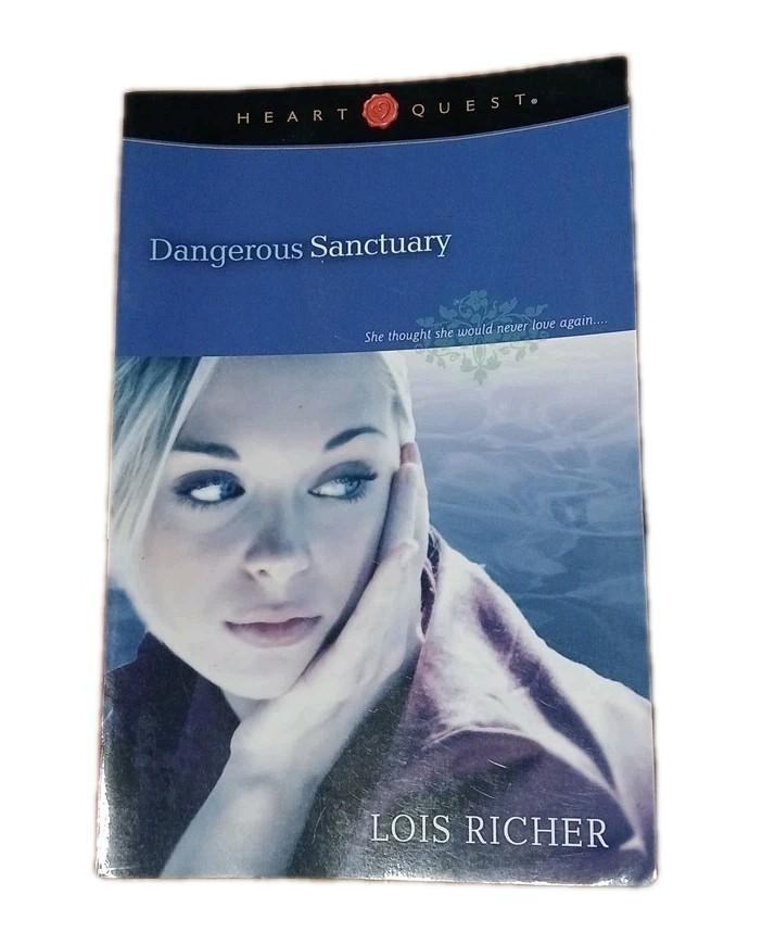 Dangerous Sanctuary by Lois Richer (2004, Trade Paperback)