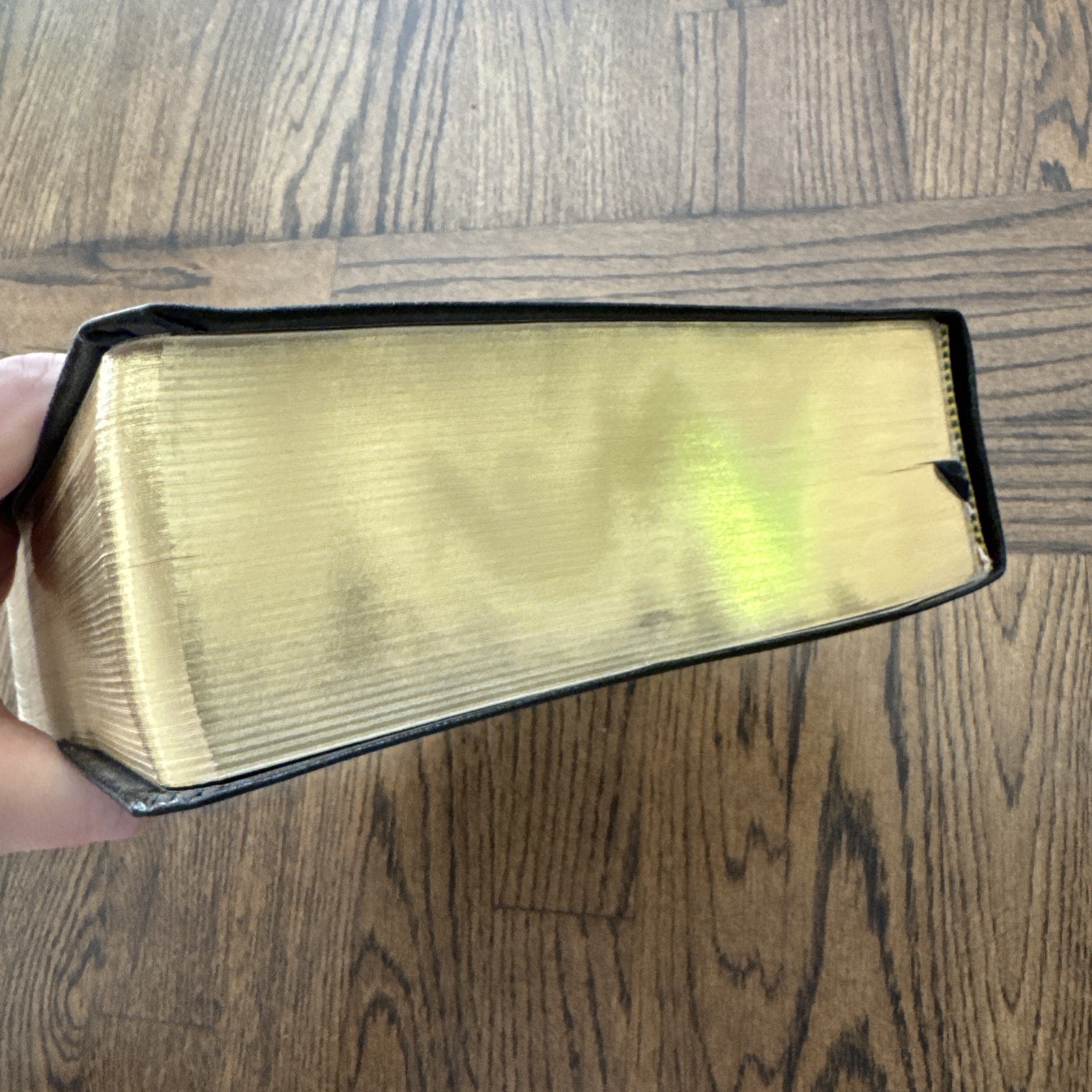 The Geneva Bible: 1560 Edition Genuine leather Hendrickson