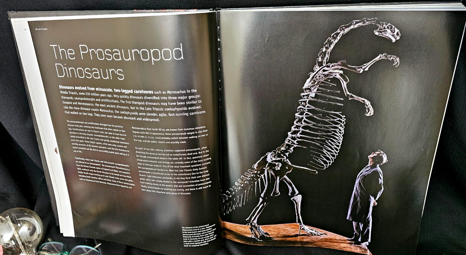 Giant Book Dinosaurs by Steve Brusatte 2008 Quercus 17”x 14”