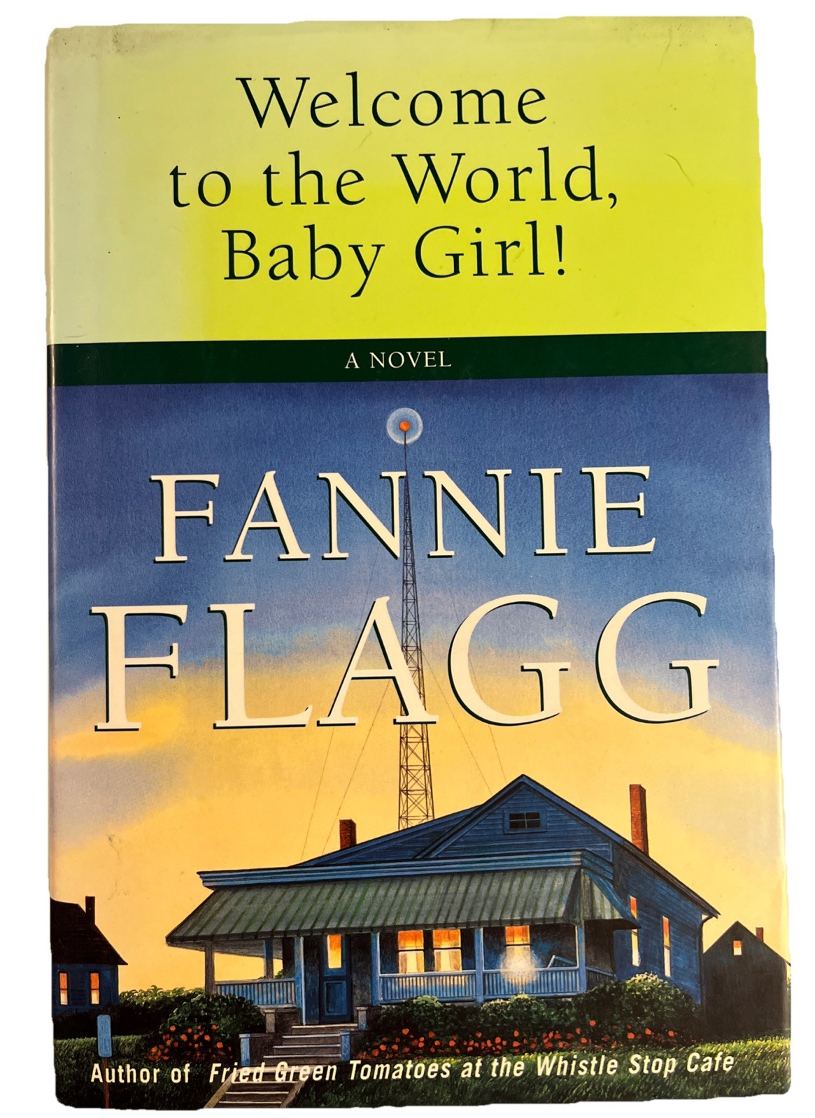 Welcome to the World, Baby Girl!: A Novel – Hardcover, Flagg, Fannie Ist Edition