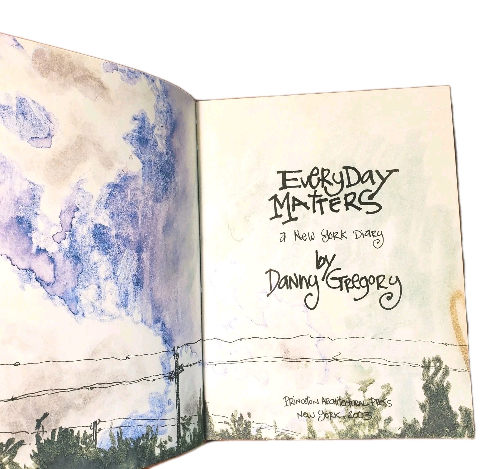 NEW 1st/1st Ed EVERYDAY MATTERS A NY Diary Danny Gregory Illustrated Hardcover