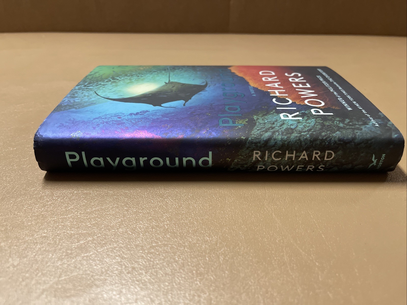 Playground Hardcover Richard Powers