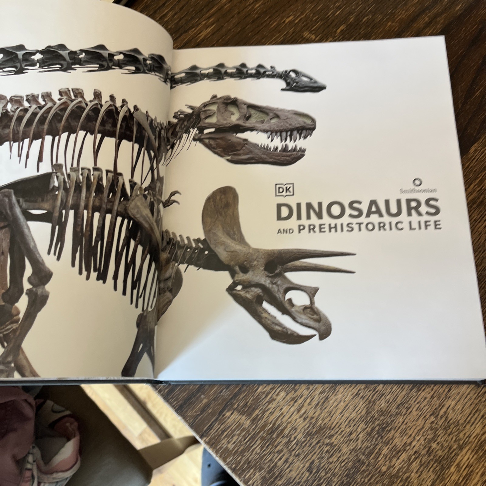 Dinosaurs and Prehistoric Life: The Definitive Visual – Hardcover, by DK – VG