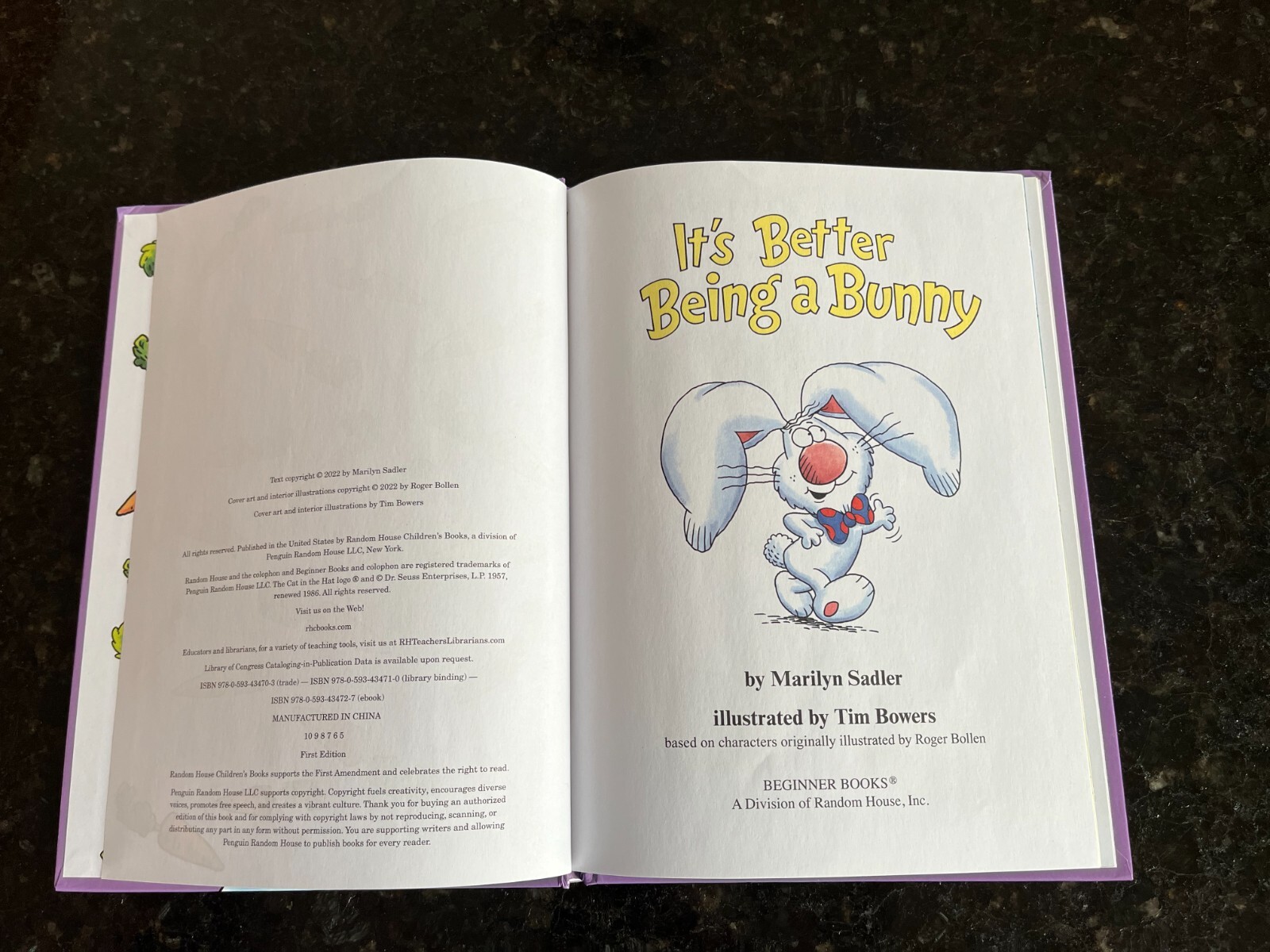 It’s better being a bunny SADLER Dr Seuss hardcover book 6.75″ x 9.25″ HARDCOVER