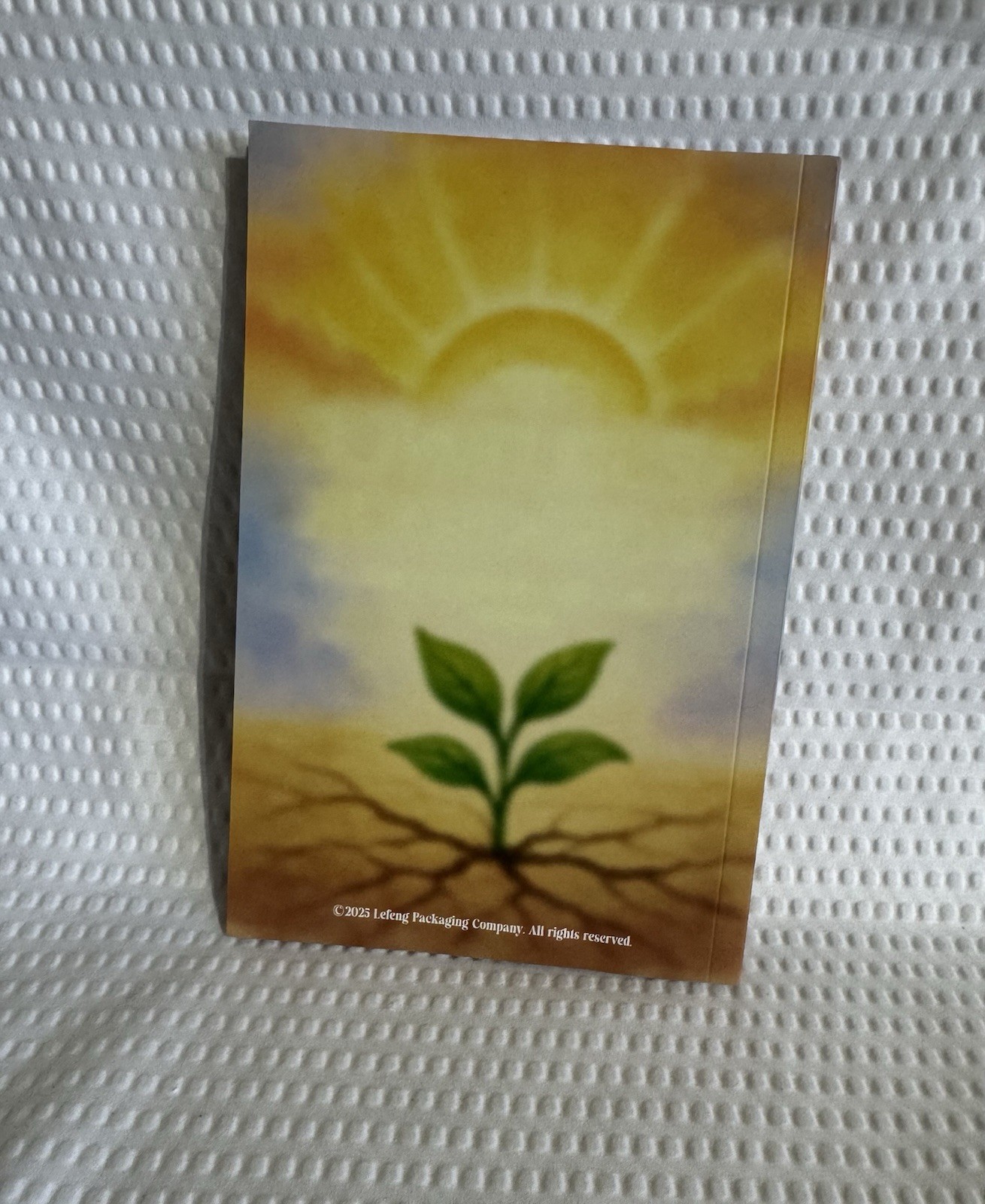 The Resilience Workbook A Trauma Recovery And Therapy Guide 132 Pages