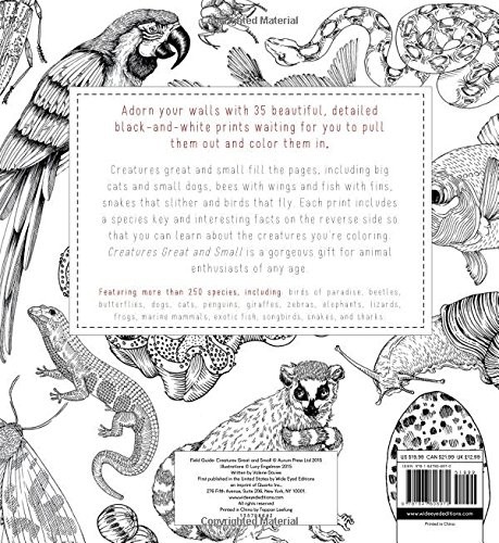 Field Guide: Creatures Great and Small: 35 prints to color, Engelman, Lucy,Davie