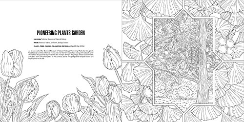 Gardens: A Smithsonian Coloring Book, Smithsonian Institution, Very Good Book