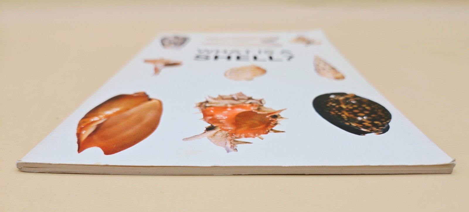 Vintage 1975 WHAT IS A SHELL? Educational Book, VERY GOOD, LN