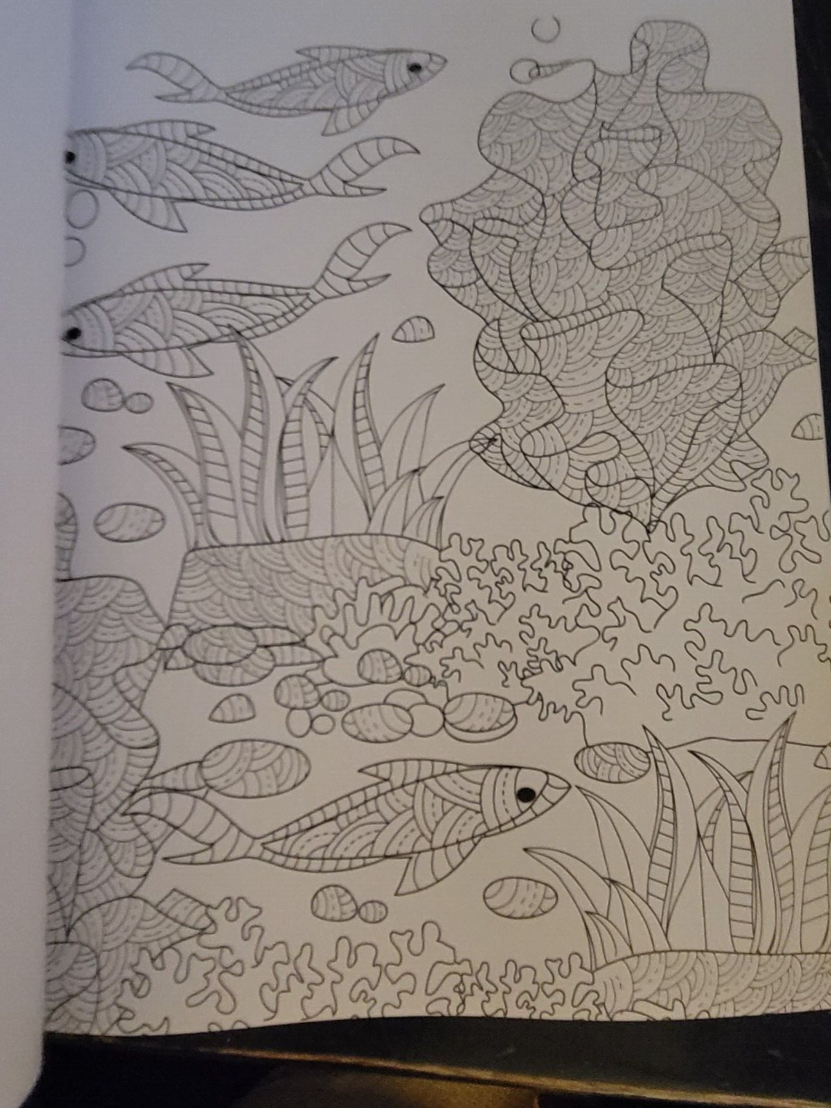 COLORS OF THE WILD Vol. 19 Adult Coloring Book With 47 Prints Ready To Frame!