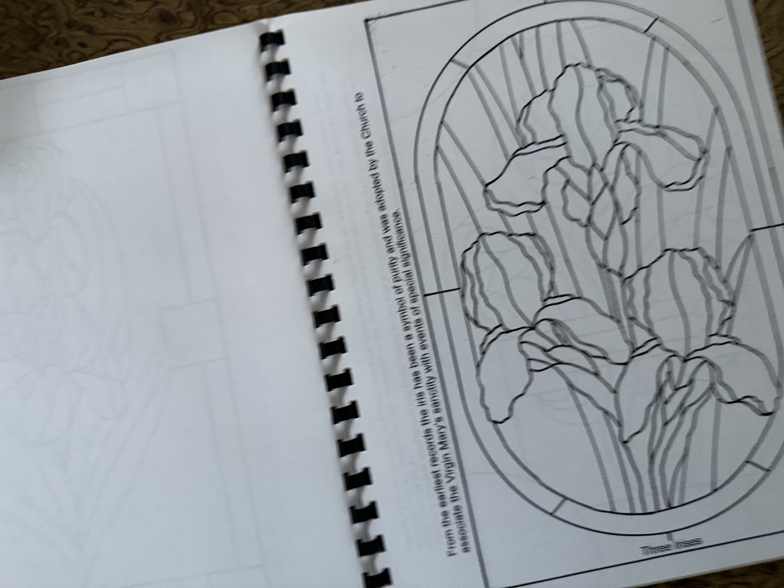 Irises Coloring Book Spiral Binding 20 Pages NEW 2002
