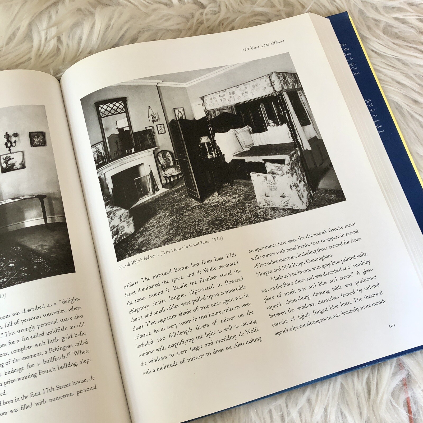 Elsie de Wolfe, the Birth of Modern Interior Design Acanthus Press Yellow Book