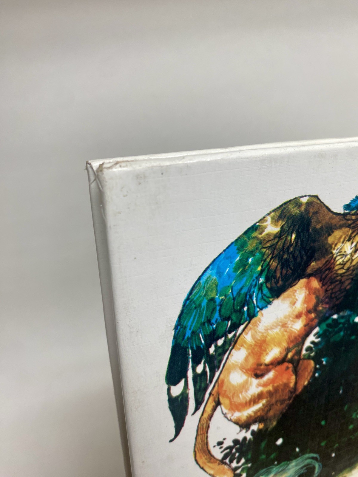 VTG Encyclopedia of Legendary Creatures Tom McGowen Illustrated Victor Ambrus 🔥
