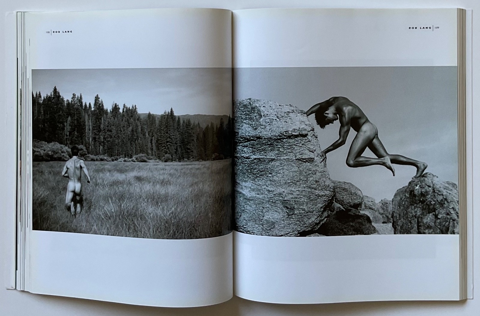 ADONIS Masterpieces of Erotic Male Photography OOP 1999 Book HERB RITTS ++++