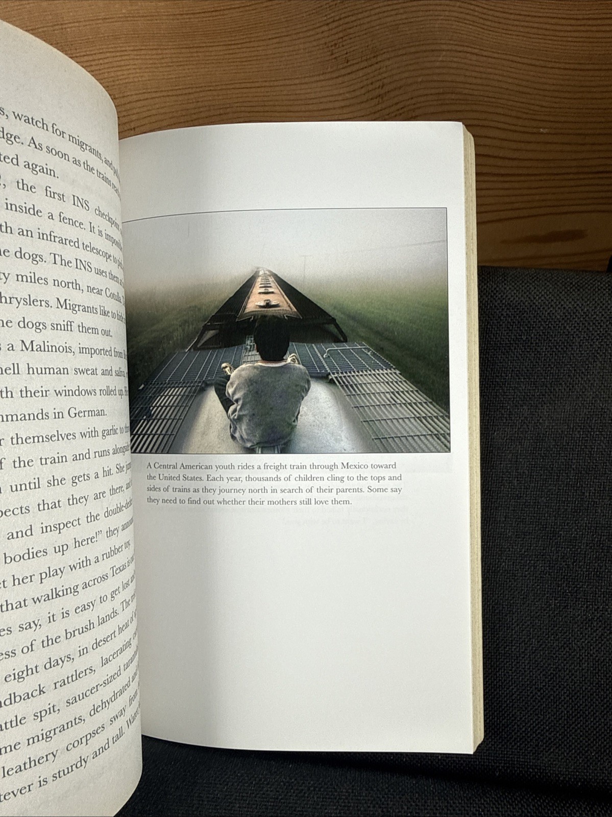 Enrique’s Journey by Sonia Nazario (2007 Trade Paperback)