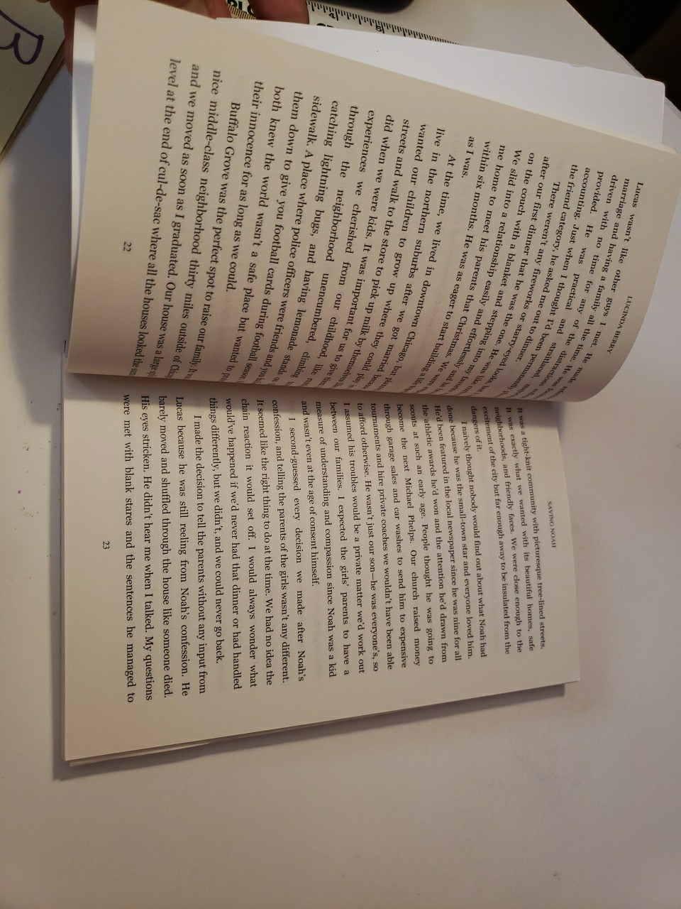 Saving Noah Paperback Book 2017 Lucinda Berry