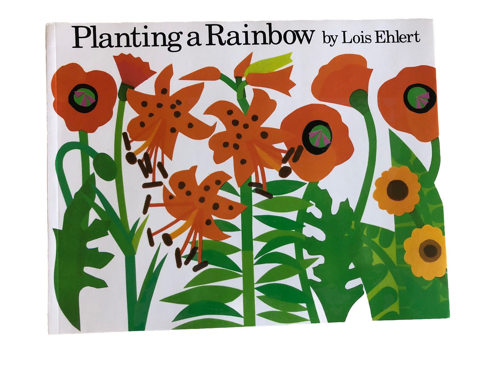 Children’s Books Lot of 2 Eric Carl Lois Ehlert The Tiny Seed Planting a Rainbow