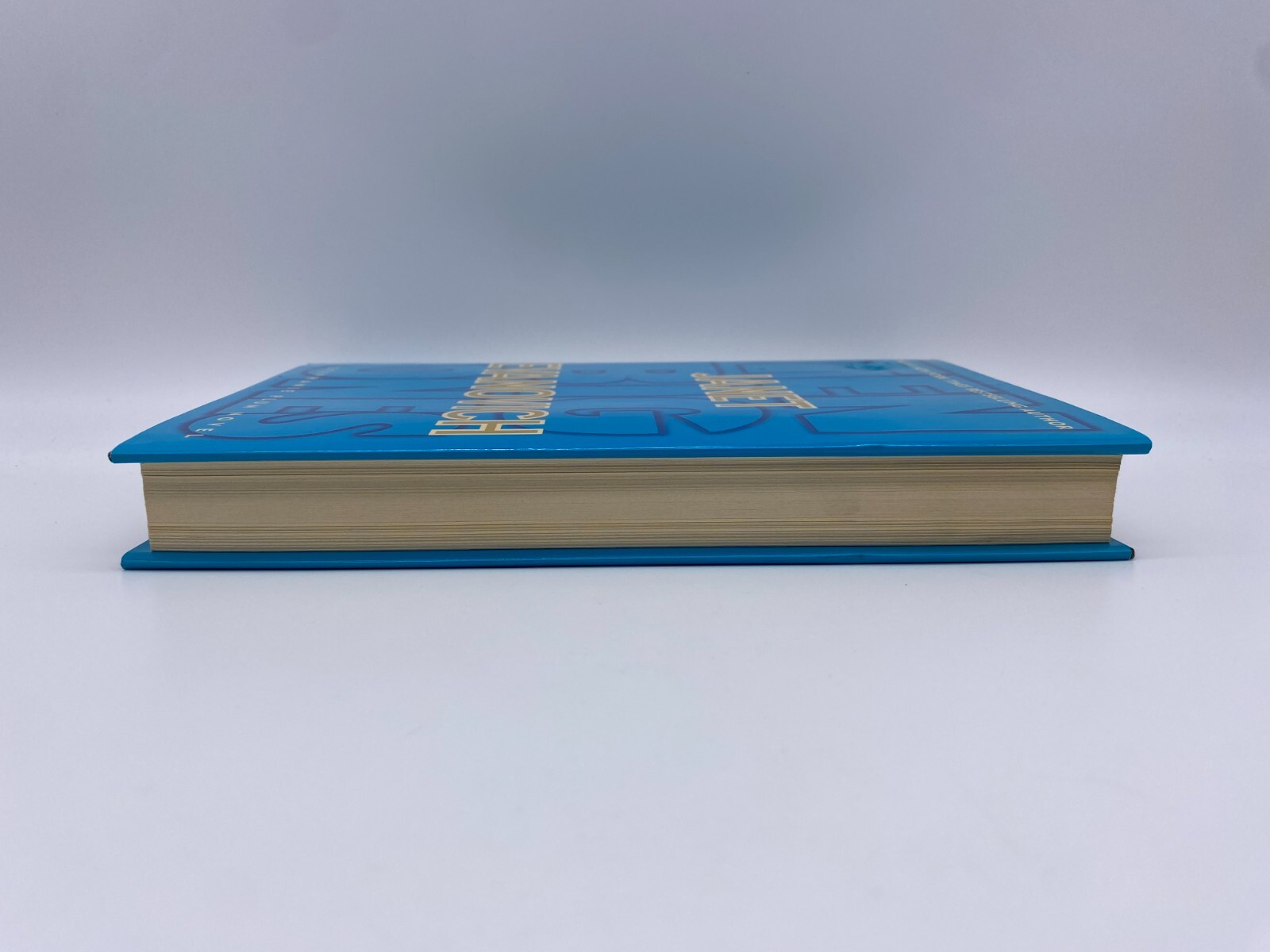 Janet Evanovich Ten Big Ones A Stephanie Plum Novel #10- 312 pages Exciting