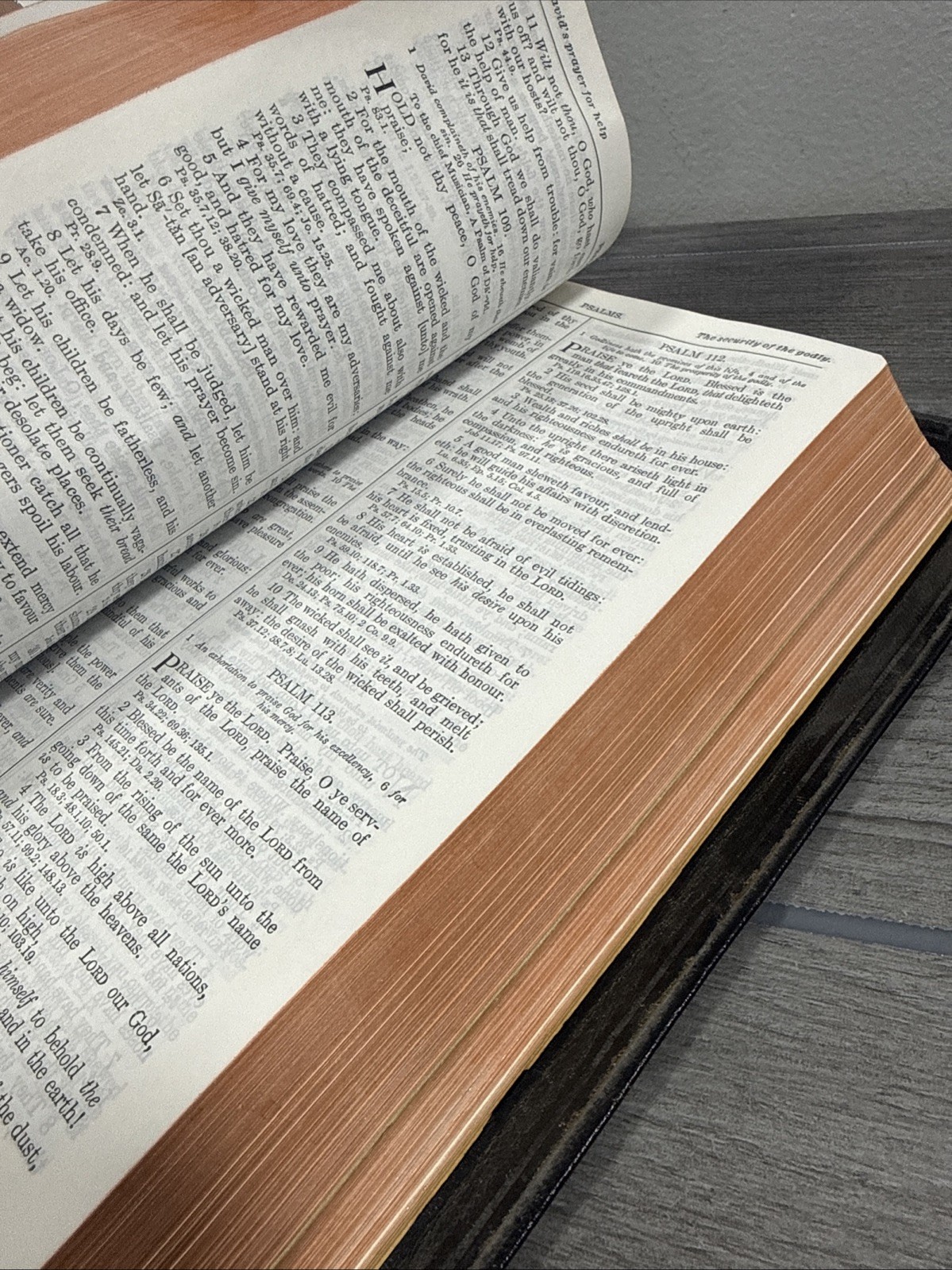 Holy Bible New Analytical Indexed Edition MOROCCO LEATHER Concordance Dickson