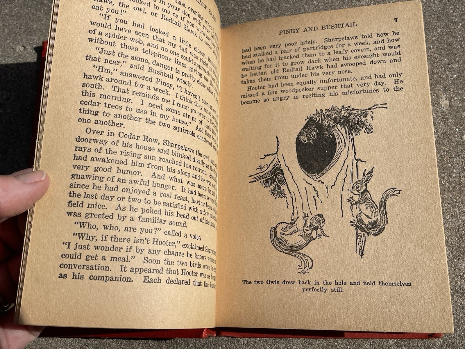 Lot 3 Goldsmith Carol Cassidy Cole Childrens Books Vintage 1928 Hardcovers 1st