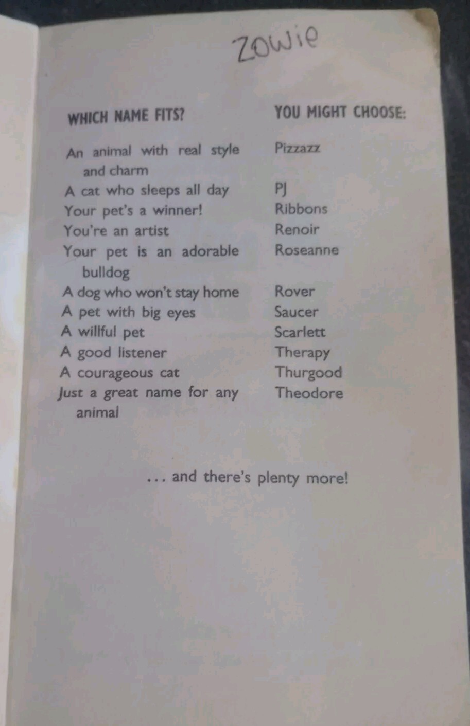 1995 Schoolastic “Don’t Call Me Rover: 5001 Names For Your Pet
